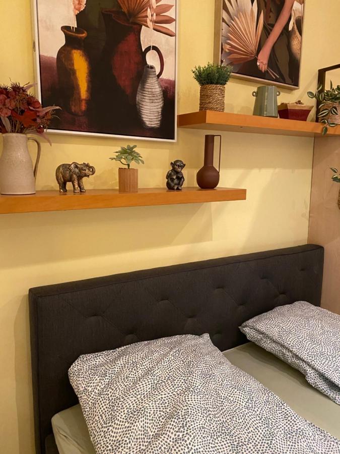 Jungle Story Apartment By Millenaris Park With Free Parking ブダペスト エクステリア 写真